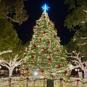 GACC - Gretna Christmas Tree Lighting 2023